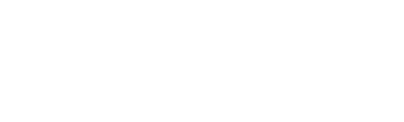 NYA-EVO