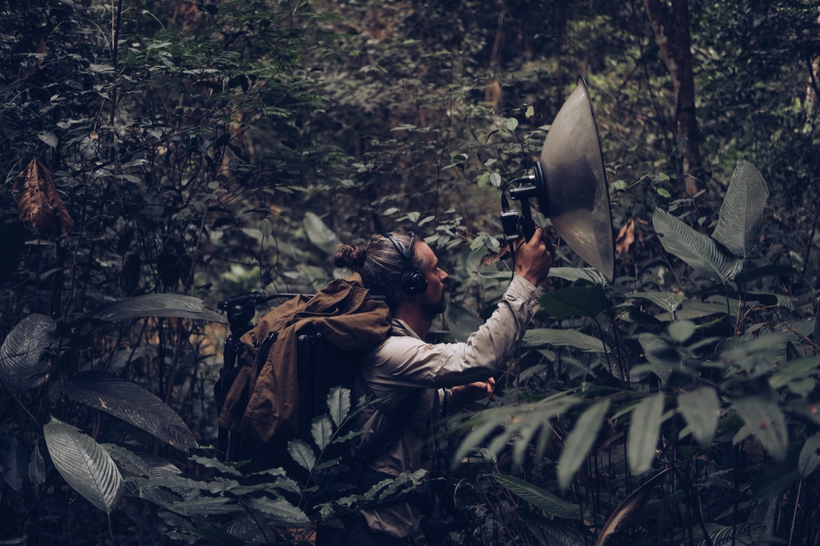 Grabando con un micrófono parabólico en la selva de Liberia (foto: Ed Dingli)