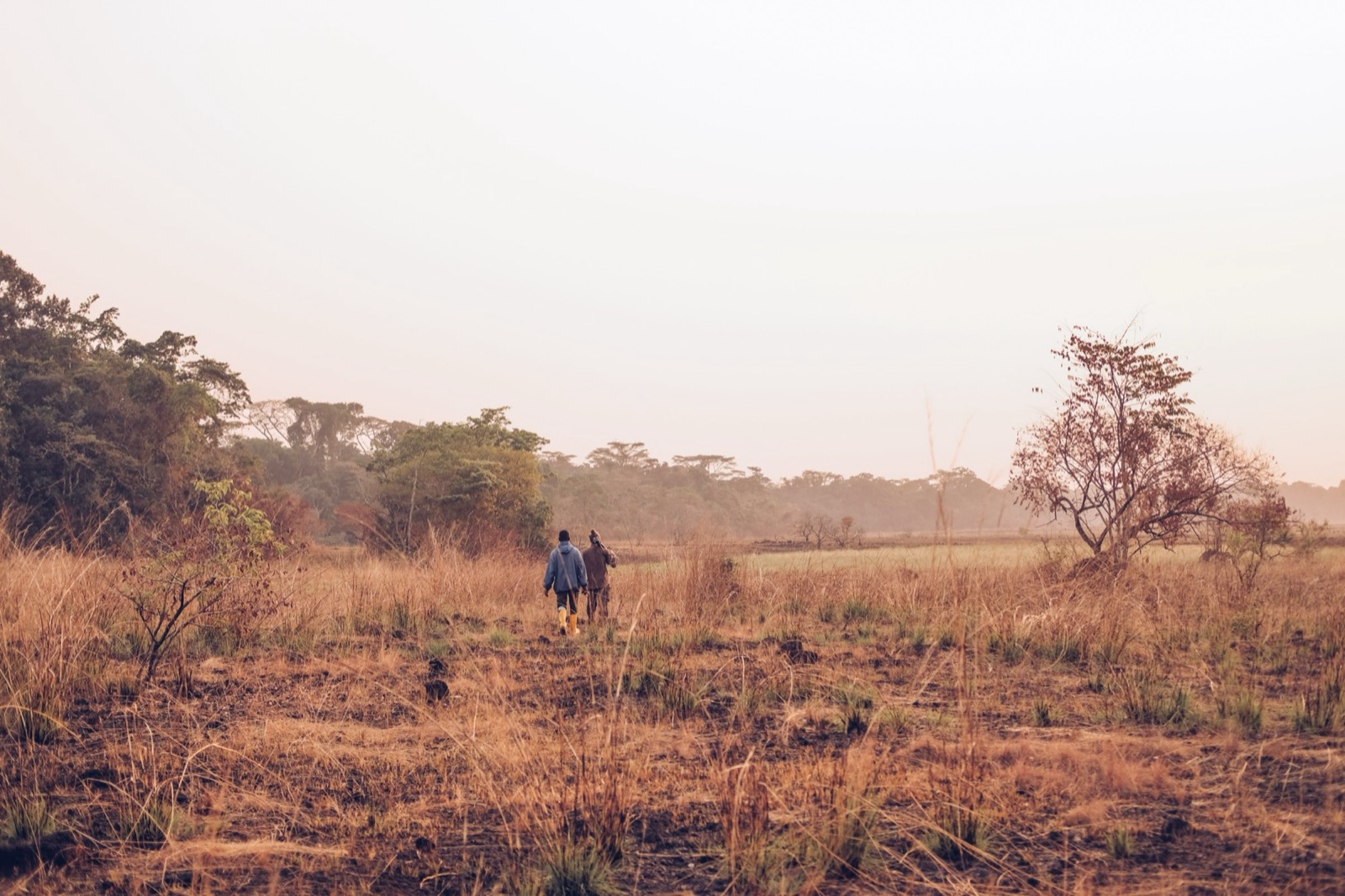 Deux personnes marchent dans une prairie sèche à l’aube, Liberia